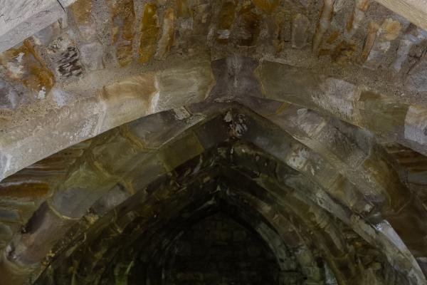 Herald (Scoliopteryx libatrix), adult. Finchale Abbey, 14-12-2024. Copyright Christopher Blakey.