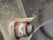 Pima boisduvaliella, adult. Saltholme, 19-07-2022. Copyright Ed Pritchard.