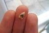 Acleris forsskaleana, adult. Framwellgate Moor, 17-07-2020. Copyright Christopher Blakey.