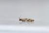 Holly Tortrix (Rhopobota naevana), adult. Waldridge Fell, 12-07-2022. Copyright Christopher Blakey.