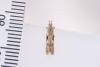 Hypatima rhomboidella, adult. Waldridge Fell, 22-08-2023. Copyright Christopher Blakey.