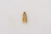 Helcystogramma rufescens, adult. Waldridge Fell, 22-07-2024. Copyright Christopher Blakey.