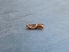 Ancylis badiana, adult. Stockton, 01-08-2020. Copyright Ed Pritchard.