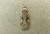 Agonopterix arenella, adult. Taken outside Durham, 05-09-2010. Copyright Keith Dover.