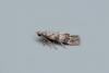 Exoteleia dodecella, adult. Taken outside Durham, 30-06-2020. Copyright Keith Dover.