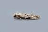 Stenolechia gemmella, adult. Chester-le-Street, 04-09-2021. Copyright Keith Dover.