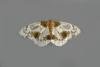 Clouded Magpie (Abraxas sylvata), adult. Taken outside Durham, 14-08-2012. Copyright Keith Dover.