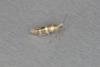 Argyresthia trifasciata, adult. Ouston, 31-05-2017. Copyright Verna Atkinson.