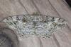 Mottled Beauty (Alcis repandata), adult. Ouston, 14-06-2017. Copyright Verna Atkinson.